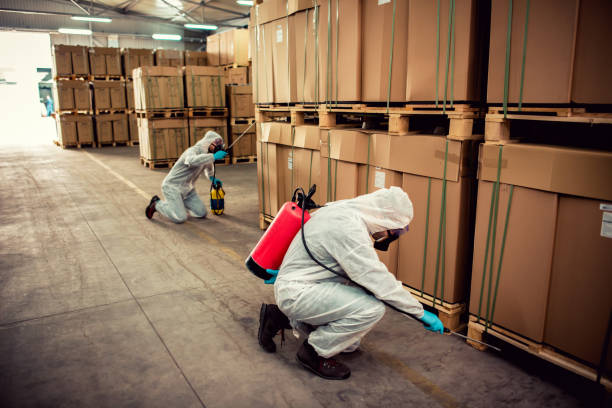 Best Exterminator Services  in Bort, GA