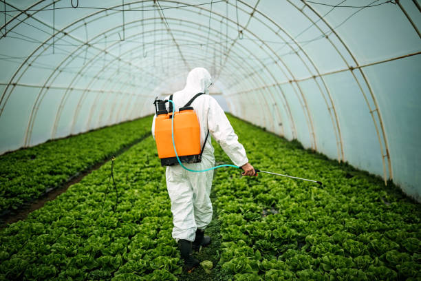 Reliable Bogart, GA Pest Control Solutions