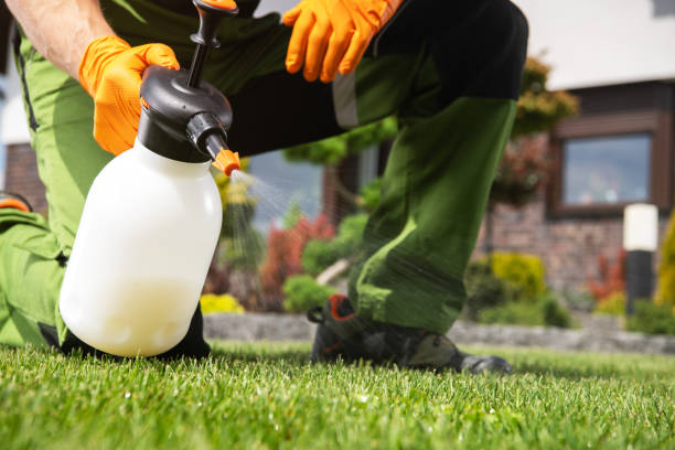 Wildlife Control Services in Bogart, GA