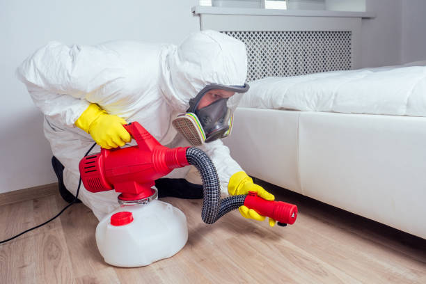 Best Emergency Pest Control  in Bort, GA