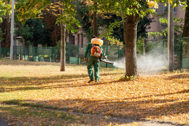 Best Residential Pest Control  in Bort, GA