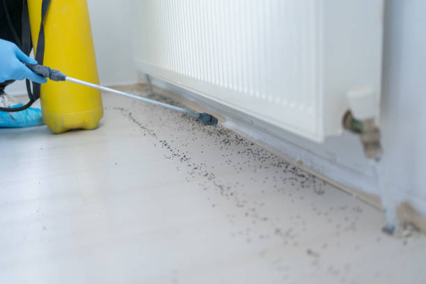 Best Wildlife Control Services  in Bort, GA