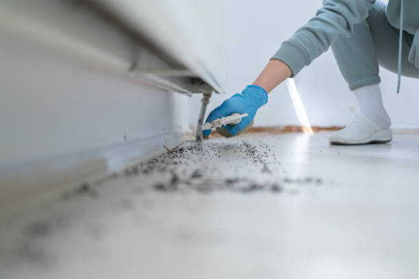 Best Affordable Pest Control Services  in Bort, GA