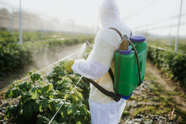Best Residential Pest Control  in Bort, GA